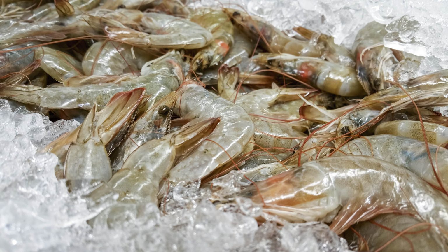 noble fresh sea foods