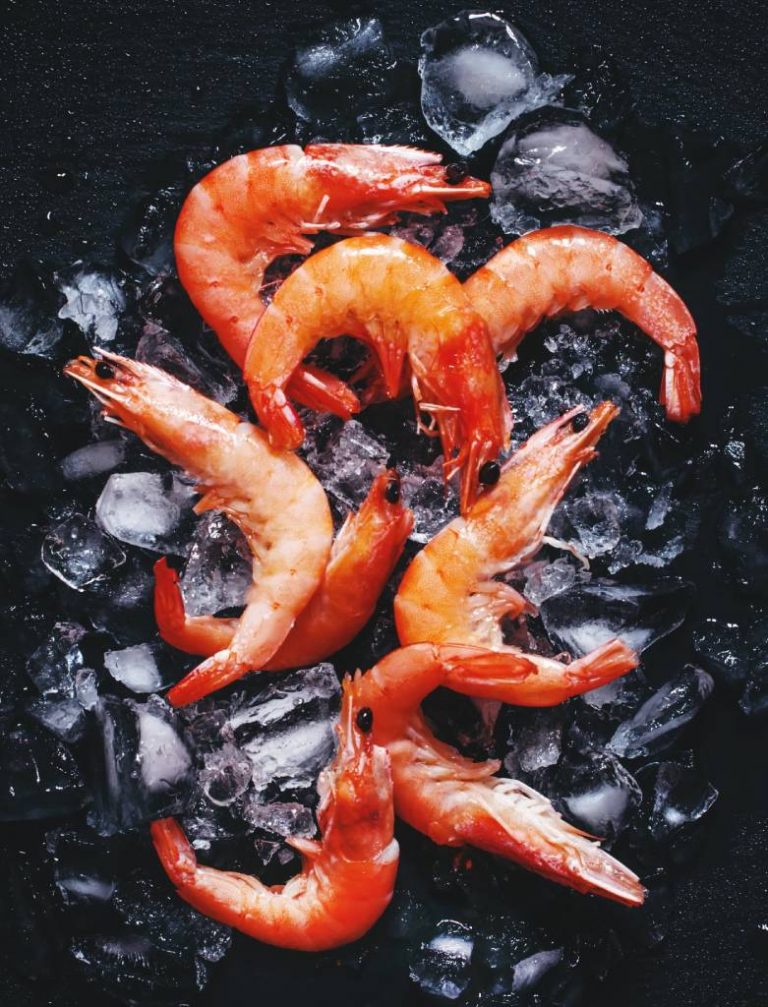 sea foods export